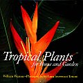 Tropical Plants For Home & Garden