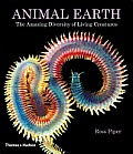 Animal Earth The Amazing Diversity of Living Forms