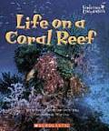 Life On A Coral Reef
