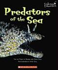 Predators Of The Sea