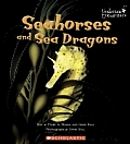 Seahorses & Sea Dragons
