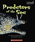 Predators Of The Sea