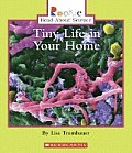 Tiny Life In Your Home