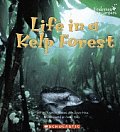 Life In A Kelp Forest