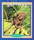 Reptiles True Books Animals