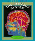 Nervous System A True Book