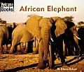 African Elephant Animals Of The World