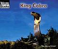 King Cobra Animals Of The World