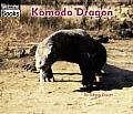 Komodo Dragon Animals Of The World