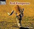 Red Kangaroo Animals Of The World