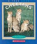 True Book Cheetahs