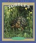 Turtles A True Story