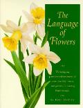 Language Of Flowers