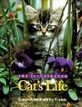 Illustrated Cats Life