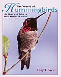 World Of Hummingbirds An Illustrated Guide To