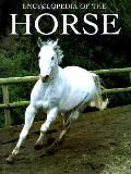 Encyclopedia Of The Horse