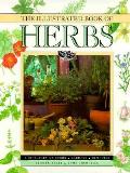 Illustrated Book Of Herbs