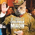Thoughts Of Chairman Miaow