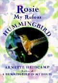 Rosie My Rufous Hummingbird