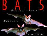 Bats Shadows In The Night