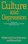 Culture and Depression: Studies in the Anthropology and Cross-Cultural Psychiatry of Affect and Disorder Volume 16