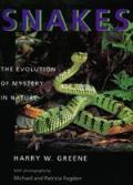 Snakes The Evolution Of Mystery In Natur