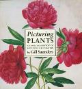 Picturing Plants An Analytical History