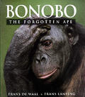 Bonobo The Forgotten Ape