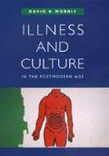 Illness & Culture In The Postmodern Age