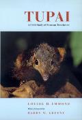 Tupai: A Field Study of Bornean Treeshrews Volume 2