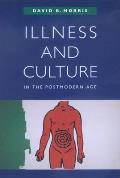 Illness & Culture in the Postmodern Age