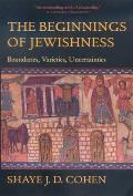 The Beginnings of Jewishness: Boundaries, Varieties, Uncertainties Volume 31