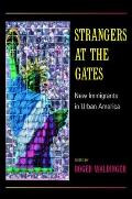 Strangers at the Gates New Immigrants in Urban America