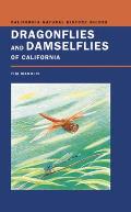 Dragonflies & Damselflies of California
