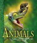 Encyclopedia of Animals A Complete Visual Guide