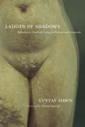 Ladder of Shadows: Reflecting on Medieval Vestige in Provence and Languedoc