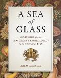 Sea of Glass Searching for the Blaschkas Fragile Legacy in an Ocean at Risk