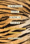 Learning Love From A Tiger Religious Experiences With Nature