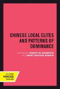 Chinese Local Elites and Patterns of Dominance: Volume 11