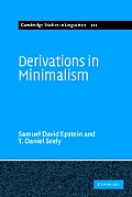 Derivations in Minimalism