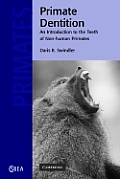Primate Dentition: An Introduction to the Teeth of Non-Human Primates