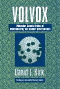 Volvox: A Search for the Molecular and Genetic Origins of Multicellularity and Cellular Differentiation