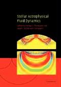 Stellar Astrophysical Fluid Dynamics