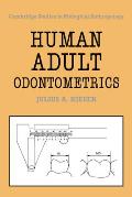 Human Adult Odontometrics: The Study of Variation in Adult Tooth Size