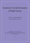 Quantum Chromodynamics at High Energy