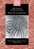 The Fossils of the Hunsr?ck Slate: Marine Life in the Devonian