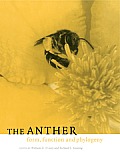 The Anther: Form, Function and Phylogeny