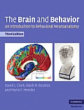 Brain & Behavior An Introduction To Behavioral Neuroanatomy