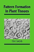 Pattern Formation in Plant Tis