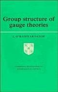 Group Structure Of Gauge Theories
